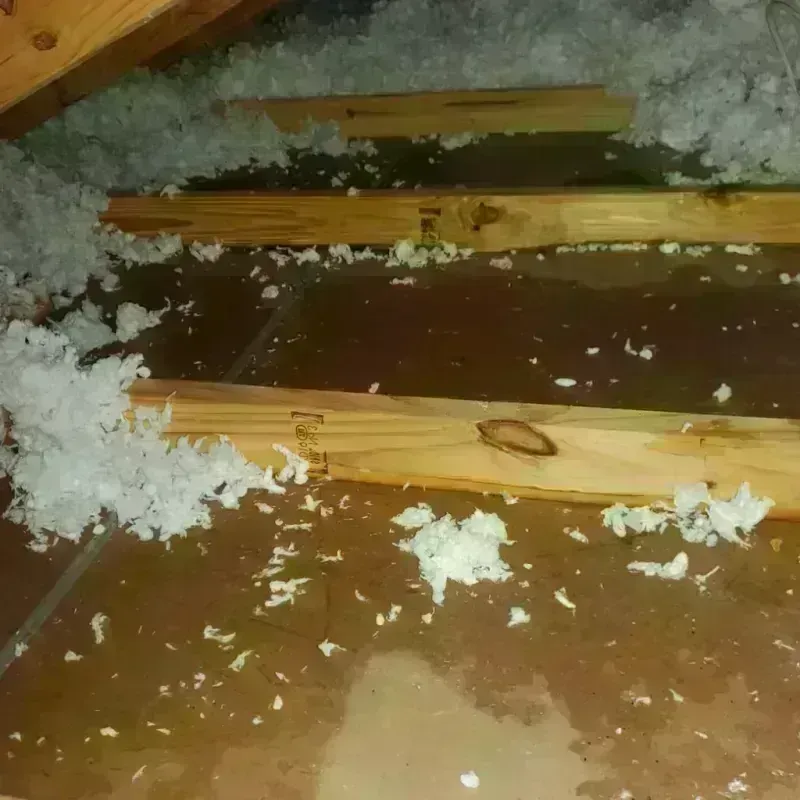 Attic Water Damage in Philipsburg, MT